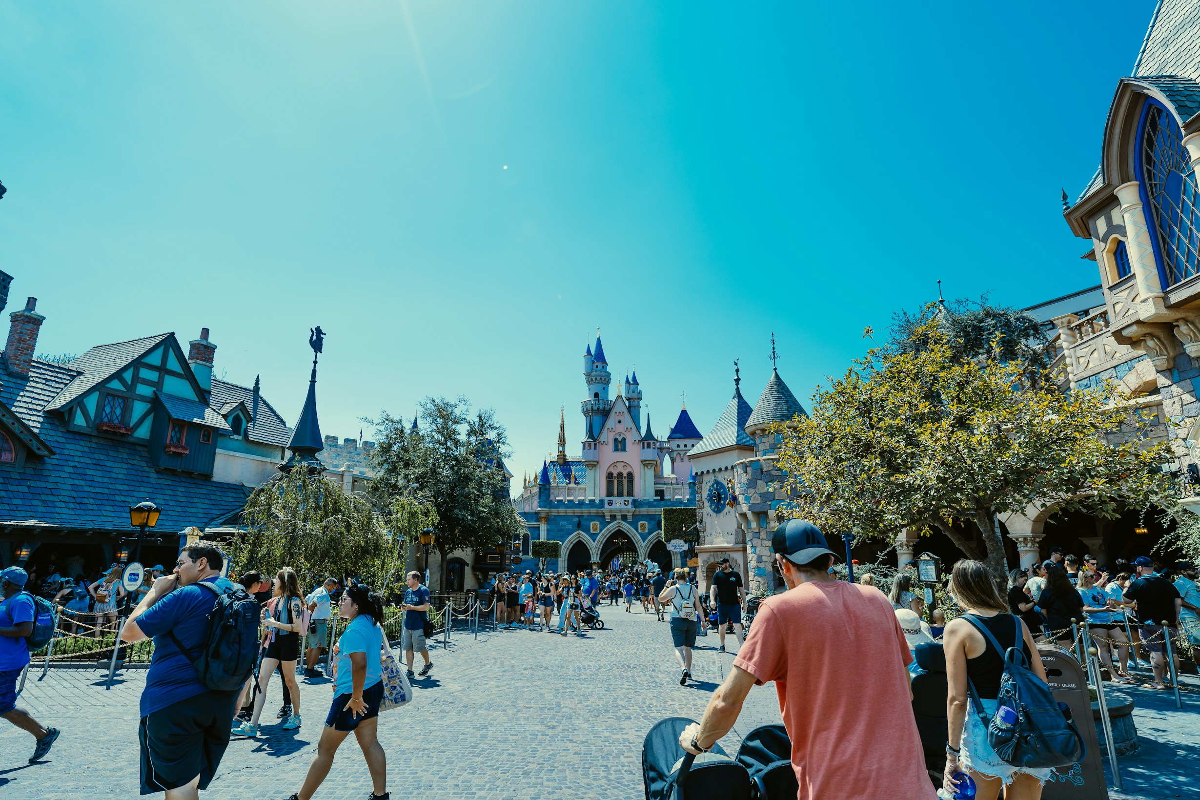 DVC membership expiration guide