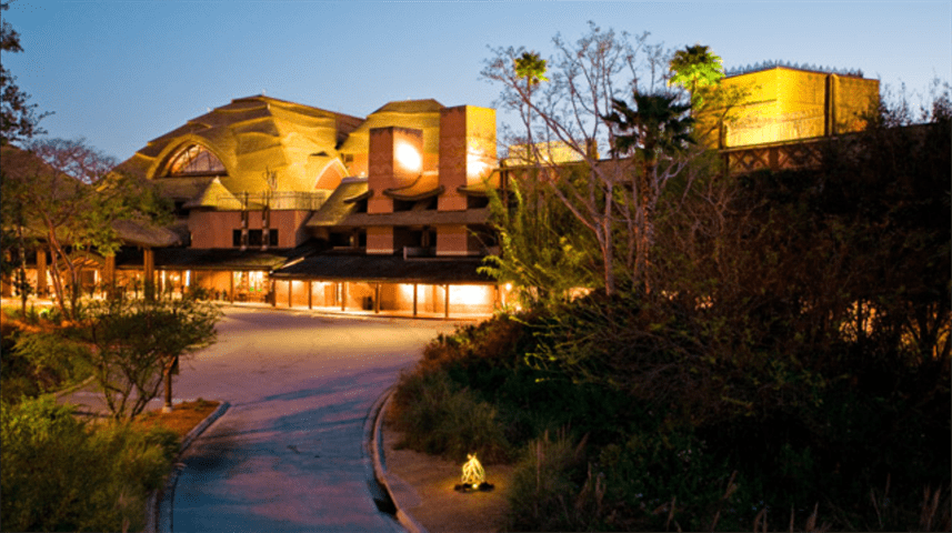 Animal Kingdom 1