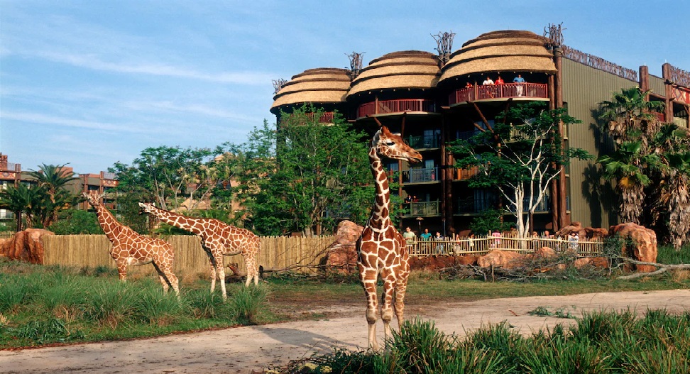Animal Kingdom DVC resort - image 2