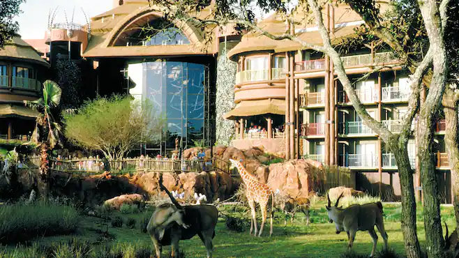 Animal Kingdom DVC resort - image 4