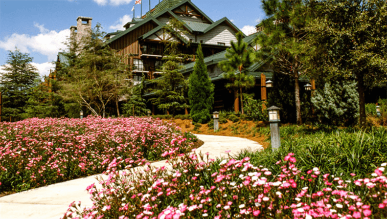Boulder Ridge DVC resort - image 5