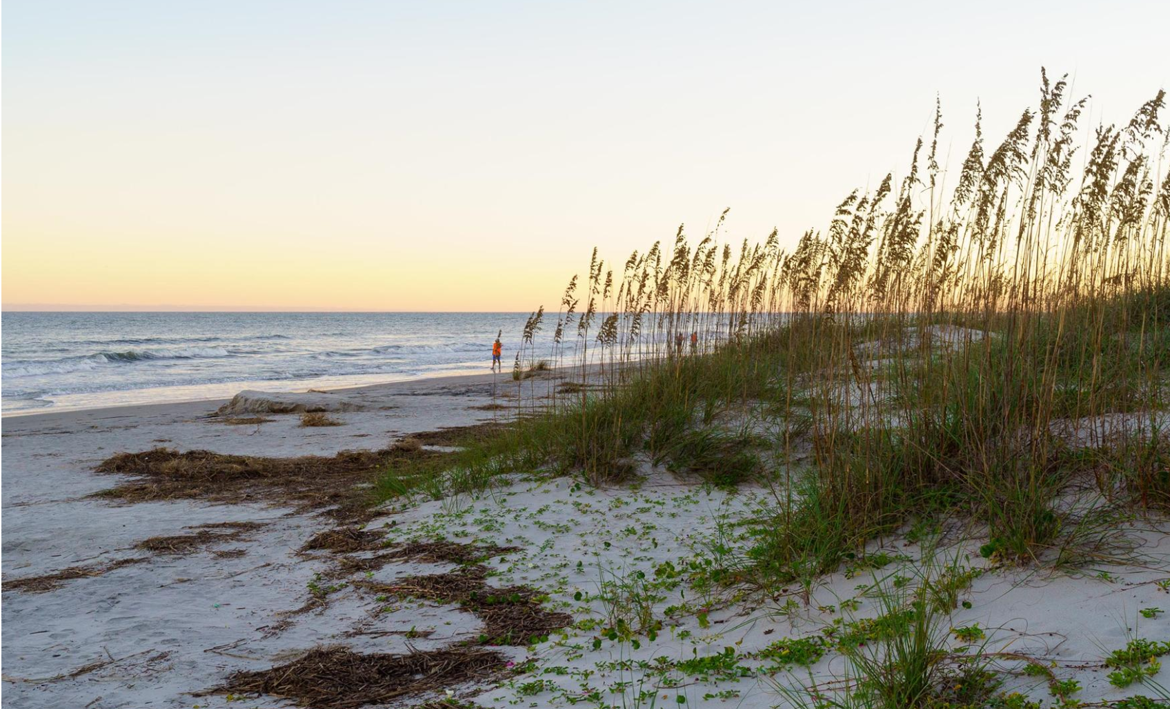 1 Bedroom room at Hilton Head Island Resort