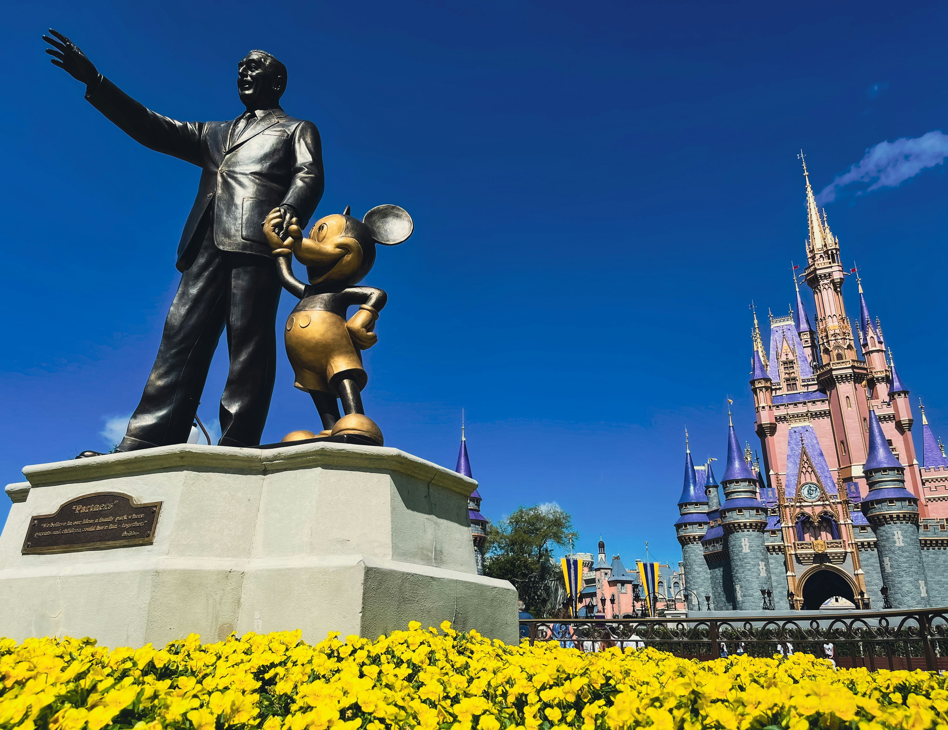 Disney Castle