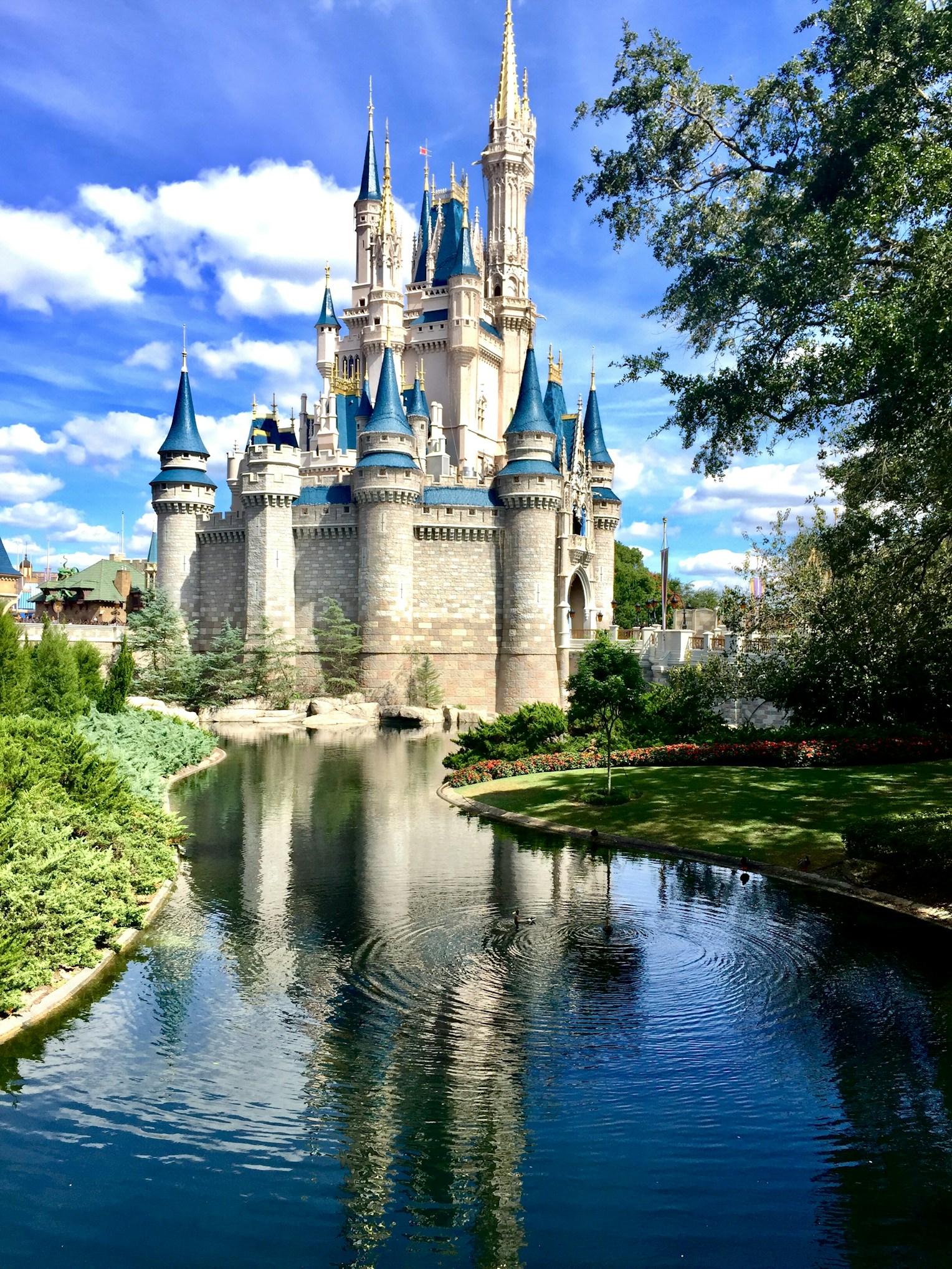 Disney castle — DVC resale expertise